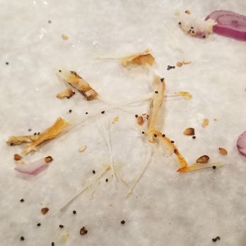 Bagel Hut - Fish bones.. included - Bagels Near Me - Great Neck, New York