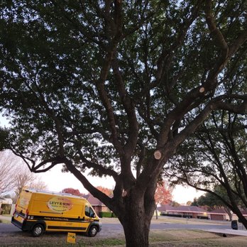 Sanchez Tree Service - Tree Services Near Me Sanchez Tree Service - Tree Services Near Me