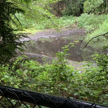 Pine Ridge Park - Water by a portion of trail along a fence. - Parks Near Me - Edmonds, Washington Pine Ridge Park - Water by a portion of trail along a fence. - Parks Near Me - Edmonds, Washington