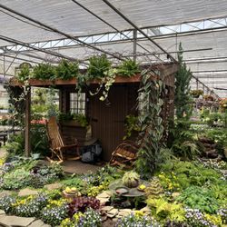 Black Creek Greenhouses