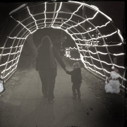 Light Up the Park Christmas event