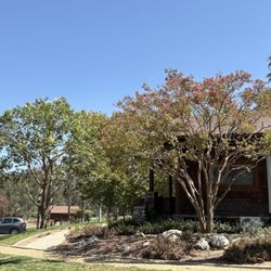 Cal Beaver Tree Service