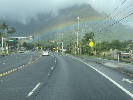 Manoa Valley Inn by null