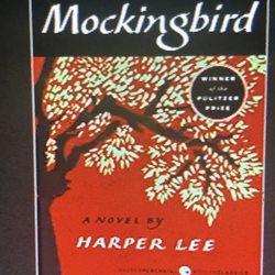 Little Free Library - #1 American novel?