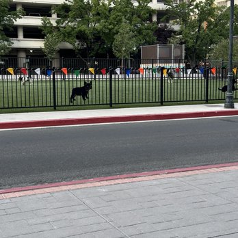 Biggest Little Dog Park - Dog Parks Near Me - Reno, Nevada Biggest Little Dog Park - Dog Parks Near Me - Reno, Nevada