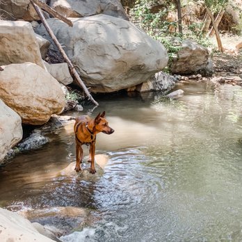 Wheeler Gorge Campground - Campgrounds Near Me - Ojai, California