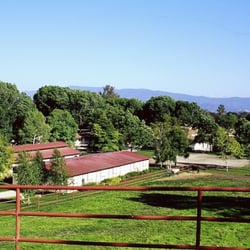 Alamo Pintado Equine Clinic - Our Clinic