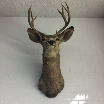 The Outsiders Barber Shop - Deer head for good luck. - Barbers Near Me - Bellflower, California