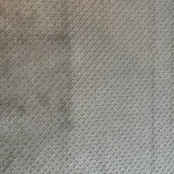 GCS Carpet Tile & Grout Cleaning