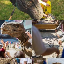Dinocrew Entertainment Northwest