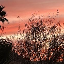 DeAnza Springs Resort - Sunset from my home!