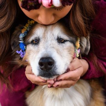 Pet Charm Photography - Pet Photography Near Me Pet Charm Photography - Pet Photography Near Me