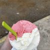 Gypsea Gelato gift card
