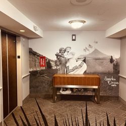 Circus Circus Reno - A Caesars Rewards Destination - Like the photos