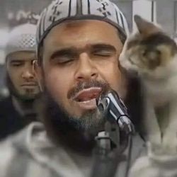 Masjid As-Salam - Cat , imam and love for god.