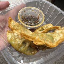 Fried Dumplings