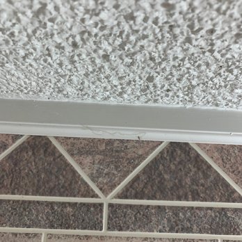 Holiday Lodge - Spiders need love, too! - Hotels Near Me - Sheridan, Wyoming Holiday Lodge - Spiders need love, too! - Hotels Near Me - Sheridan, Wyoming
