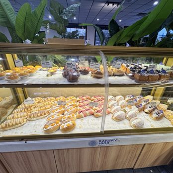 Bakery 1908 - Coffee & Tea Near Me - Gainesville, Florida Bakery 1908 - Coffee & Tea Near Me - Gainesville, Florida