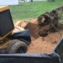 Photo of All About Stumps 