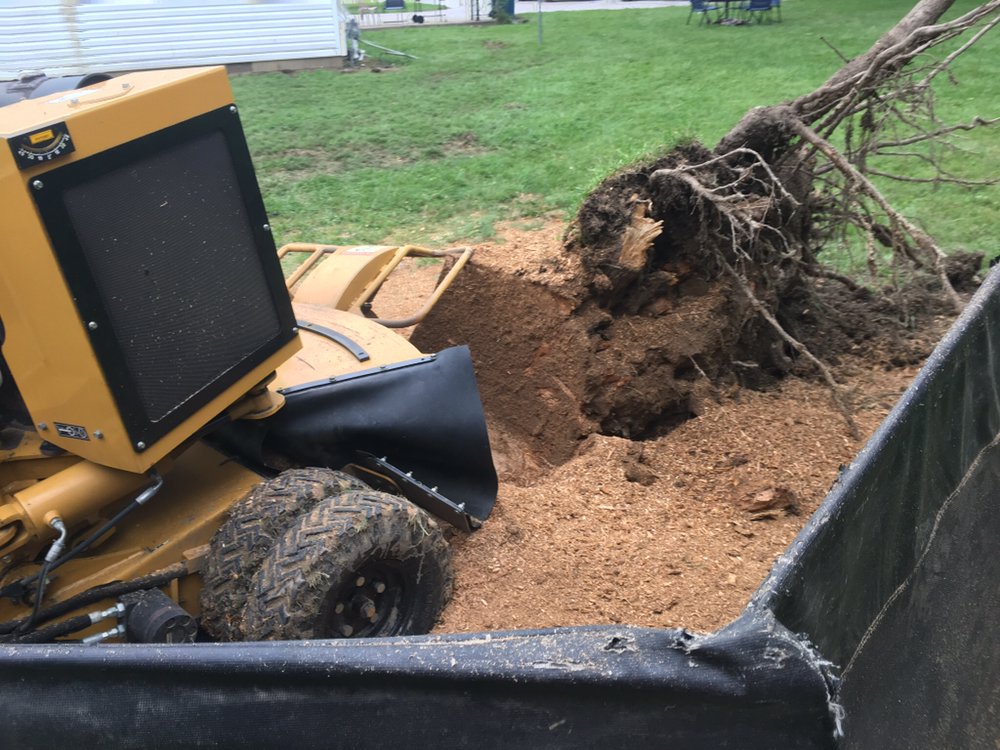 All About Stumps - tree service in Indianapolis, IN