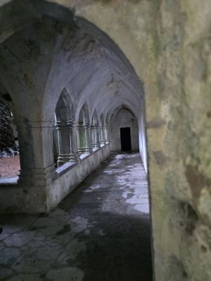Muckross Abbey by null