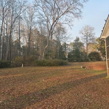 Paz Tree And Stump - Tree Services Near Me Paz Tree And Stump - Tree Services Near Me