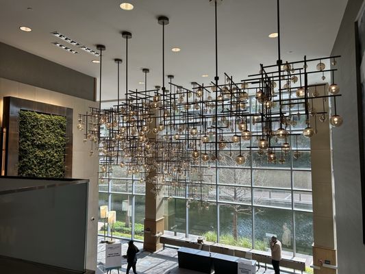 The Westin at The Woodlands® by null