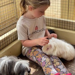 More love for the guinea pigs