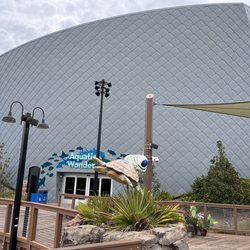 Mississippi Aquarium - Main exhibit hall