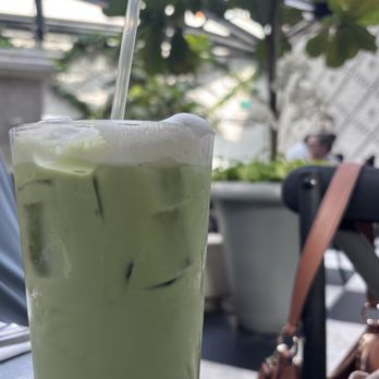 Oxford Exchange - Iced Matcha latte - Bookstores Near Me - Tampa, Florida Oxford Exchange - Iced Matcha latte - Bookstores Near Me - Tampa, Florida