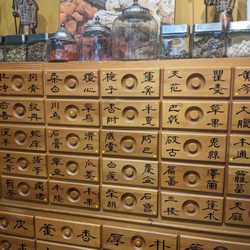 Healing Tree Acupuncture & Wellness Center