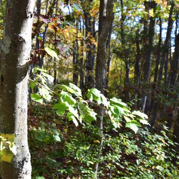 Copp Park - Hiking Near Me - Groton, Connecticut