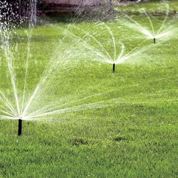 Specialty Sprinklers - Nurseries & Gardening Near Me - Rathdrum, Idaho Specialty Sprinklers - Nurseries & Gardening Near Me - Rathdrum, Idaho