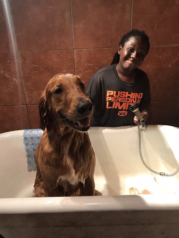 KIRKWOOD FEED AND SEED Updated October 2024 35 Reviews 1998 Hosea