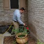 Photo of Beeline Pest Control
