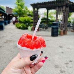 Tropical Moose Shaved Ice - Mini tiger blood
