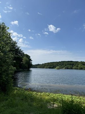 Jamaica Pond Park by null