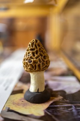 Olympic National Park Visitor Center