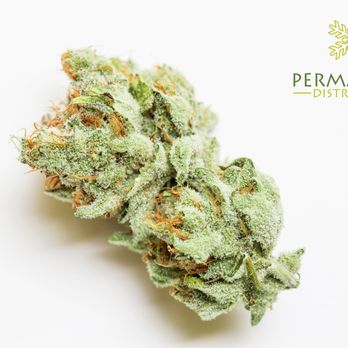 Permafrost Distributors - Frosted Lemonade - Cannabis Dispensaries Near Me - Sterling, Alaska