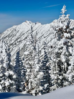 Alta Ski Area by null