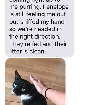 Lily's Pad NYC - Jen and her team keep you updated! They are the best. - Dog Walkers Near Me Lily's Pad NYC - Jen and her team keep you updated! They are the best. - Dog Walkers Near Me