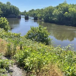 Appomattox River Regional Park - Appomattox River landing trail