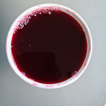 Fire & Spice Vegan Restaurant - Hibiscus Ginger - Vegetarian Near Me - Hartford, Connecticut