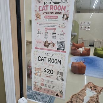 Kat Pet - Book your cat room. - Pet Stores Near Me - New Haven, Connecticut Kat Pet - Book your cat room. - Pet Stores Near Me - New Haven, Connecticut