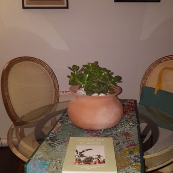 Yardart Garden Center - jade plant with clay pot $24 bucks!! amazing - Nurseries & Gardening Near Me - Laredo, Texas Yardart Garden Center - jade plant with clay pot $24 bucks!! amazing - Nurseries & Gardening Near Me - Laredo, Texas