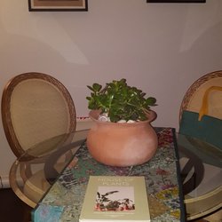 Yardart Garden Center - Jade plant with clay pot $24 bucks!! amazing