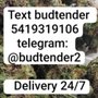 AYR Cannabis Dispensary Palm Beach Gardens