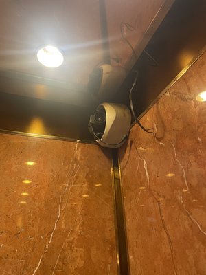 Showboat Resort Atlantic City by null