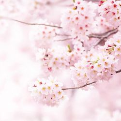 Gorgeous D’Luxe Aesthetics