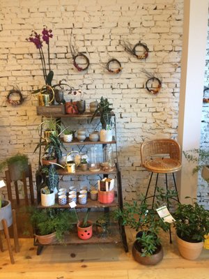 the flower shop halifax